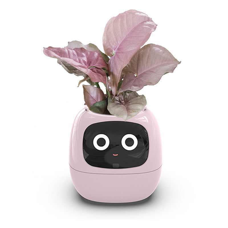 Intelligent lazy person automatic water-absorbing flowerpot - FREE SHIPPING!