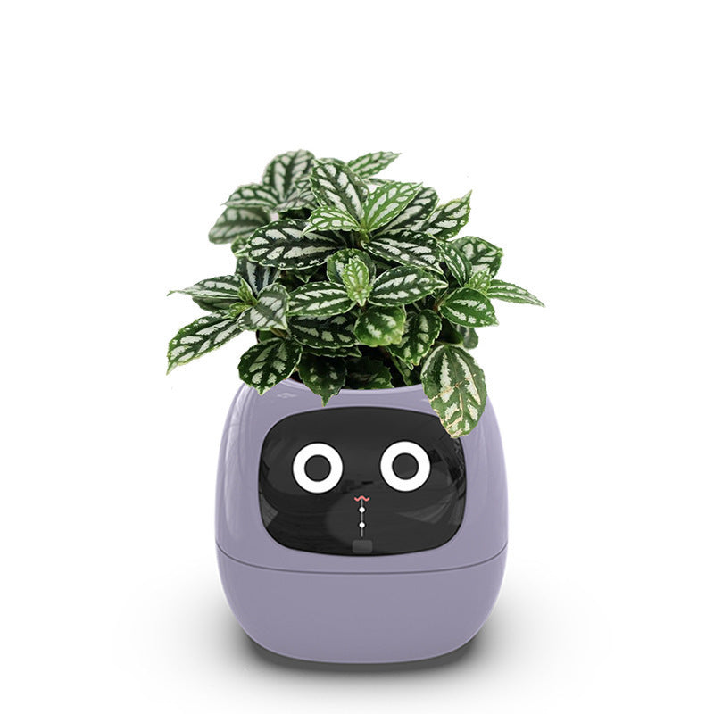 Intelligent lazy person automatic water-absorbing flowerpot - FREE SHIPPING!