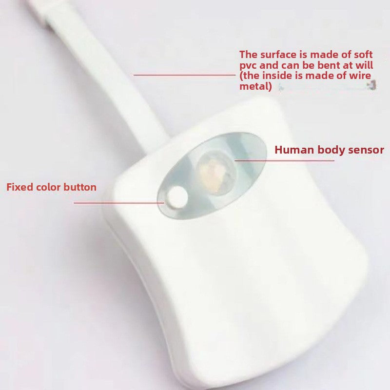 LED night light - FUN & FREE SHIPPING TOO!