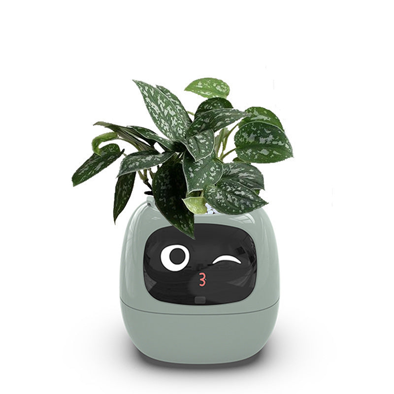 Intelligent lazy person automatic water-absorbing flowerpot - FREE SHIPPING!