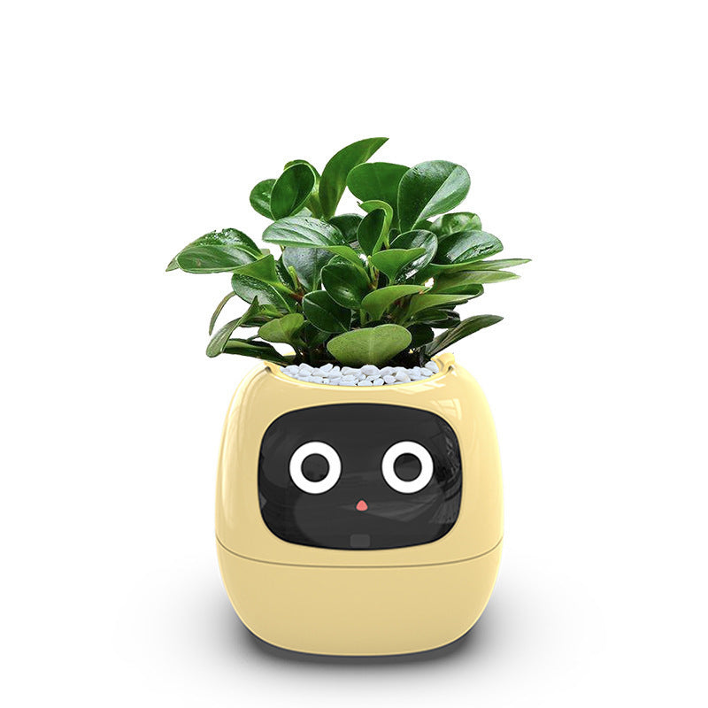 Intelligent lazy person automatic water-absorbing flowerpot - FREE SHIPPING!