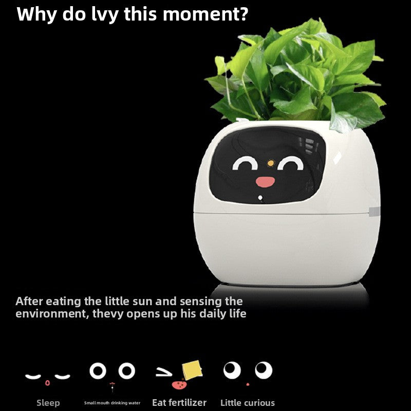 Intelligent lazy person automatic water-absorbing flowerpot - FREE SHIPPING!