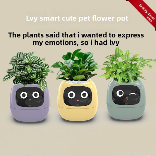Intelligent lazy person automatic water-absorbing flowerpot - FREE SHIPPING!