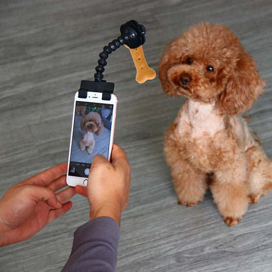 Pet selfie magic tool - FREE SHIPPING